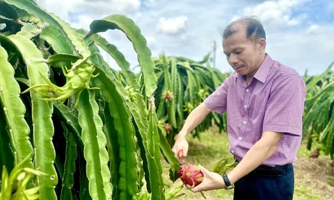 Nông nghiệp tuần hoàn, giải pháp phát triển bền vững