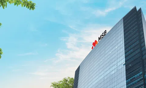 Ngân hàng MSB nổi bật trong lĩnh vực tài chính xanh