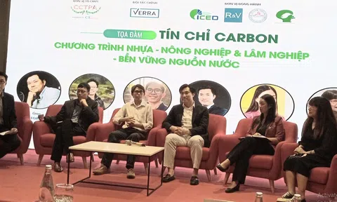 Tín chỉ Carbon: Cánh cửa mới cho ngành nông nghiệp và lâm nghiệp Việt Nam