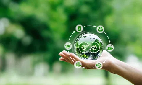 Kinh tế tuần hoàn và thị trường tín chỉ carbon: Hành trình phát triển bền vững của ngành lâm nghiệp Việt Nam