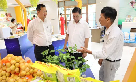 Sóc Trăng "lên phố" mang hương vị miệt vườn chinh phục thực khách Sài Gòn