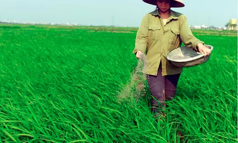Không đạt tiêu chuẩn chất lượng, 200 nhà máy phân bón bị loại khỏi thị trường