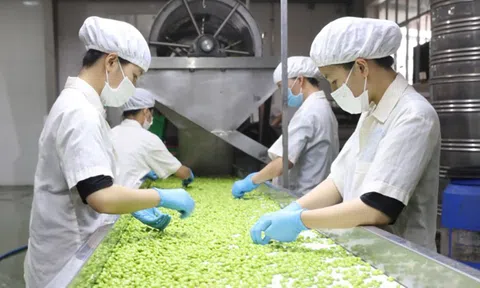 Lô đậu tương đầu tiên chính thức đến Mỹ