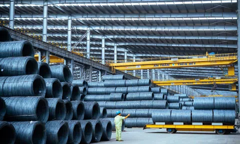 Hòa Phát dẫn đầu trong Top doanh nghiệp sở hữu nhiều tiền mặt và tiền gửi