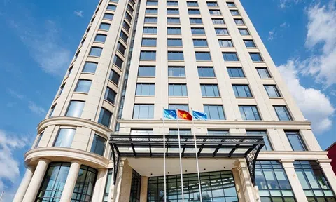 Bất động sản Đất Xanh: Doanh thu giảm mạnh, dòng tiền kinh doanh âm 3.776 tỷ đồng