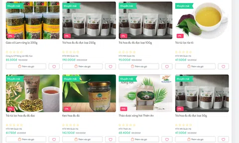 Bắc Kạn: Quản lý thuế đối với hoạt động thương mại điện tử