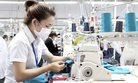 Tỉnh Bắc Giang chỉ đạo tháo gỡ khó khăn cho doanh nghiệp xuất khẩu