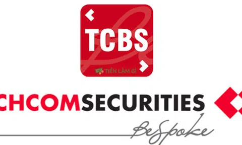 Lợi nhuận sụt giảm, vẫn sống dựa vào trái phiếu, Chứng khoán Kỹ Thương (TCBS) liên tục vay nước ngoài hàng trăm triệu USD