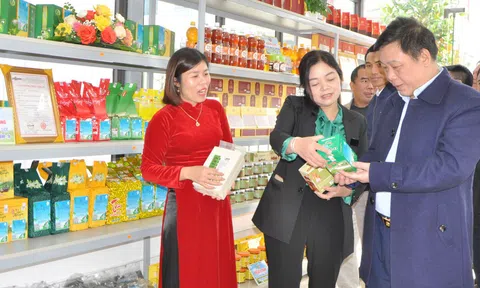 Thái Nguyên: Phú Bình khai trương điểm giới thiệu và bán sản phẩm chủ lực