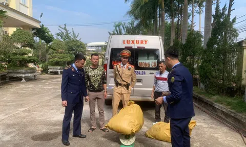 Quảng Ninh: Phát hiện và tiêu hủy gần 133 kg nội tạng lợn bốc mùi