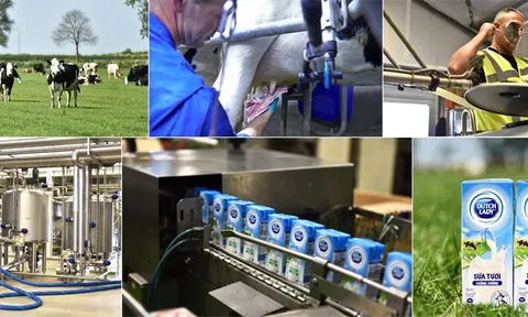 Thương hiệu sữa Cô Gái Hà Lan ủng hộ xử lý nghiêm khắc Công ty CP sữa Hà Lan