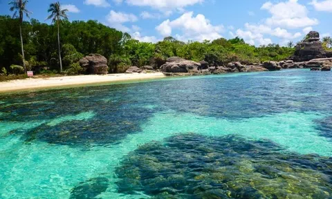 Giải pháp tăng cường công tác quản lý các khu bảo tồn biển, ven biển Việt Nam