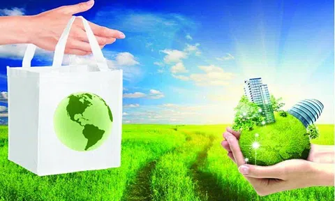 Ưu tiên tái chế, xanh hóa bao bì để tăng sức cạnh tranh và bảo vệ môi trường