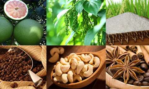 Nông sản Việt Nam xuất khẩu vào thị trường EU gặp nhiều thách thức