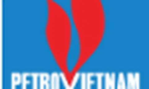 Khai sai thuế, PVChem bị phạt 208 triệu đồng