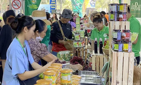 TP. Hồ Chí Minh: Khai mạc Lễ hội Tết xanh quà Việt - Xuân Quý Mão 2023