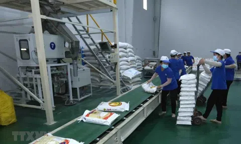 Phạt và truy thu gần 4 tỷ đồng tiền thuế công ty gạo Trung An