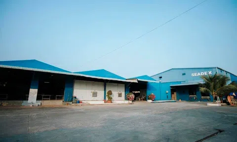 Bà Rịa- Vũng Tàu: Công ty Seadex bị xử phạt 210 triệu đồng 