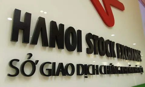 Tổ chức phiên đấu giá hơn 38 triệu cổ phần SCIC 