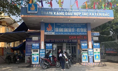 Xử phạt Công ty TNHH Phúc Lâm Châu 15 triệu đồng