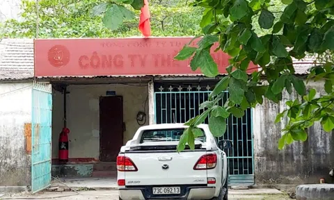 Quảng Bình: Xe tải của mỏ đá ở xã Trường Xuân phá đường gây ô nhiễm môi trường (Bài 3)