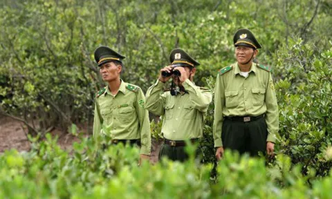 Quảng Bình tăng cường công tác phòng cháy, chữa cháy rừng