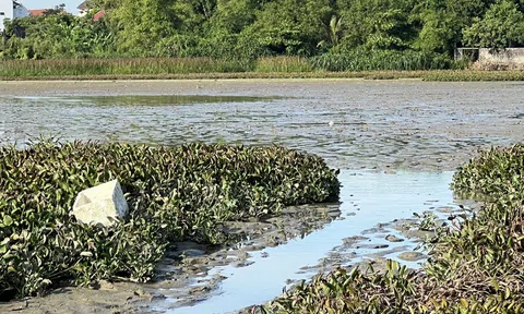 Quảng Bình: Hồ Bàu Mạ cạn "trơ đáy" ảnh hưởng đến đời sống của người dân