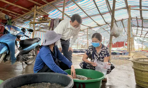 Nghệ An: Hải sản  tươi sống đắt khách, giá tăng cao trước dịp nghỉ lễ