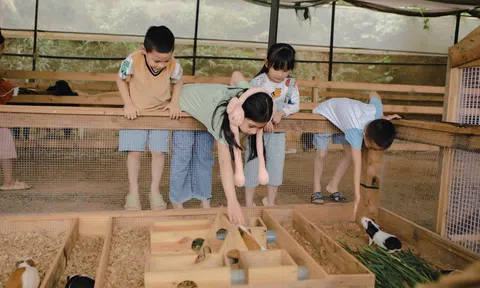 Sở Giáo dục và Đào tạo Nghệ An cấm tổ chức dạy thêm, học thêm dưới mọi hình thức trong hè