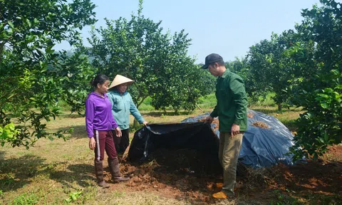 Nghệ An: Nắng nóng gay gắt, nông dân vất vả tìm cách cấp nước cho "cây trồng đắt tiền"