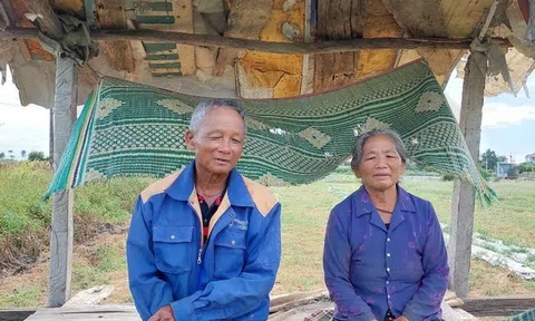 Vụ ruộng dưa hấu bị phá tại Nghệ An: Vợ chồng cụ ông tha thứ nhóm thanh niên