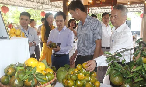 Ngành nông nghiệp tăng trưởng tích cực trong hai tháng đầu năm 2025