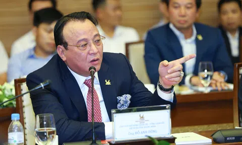 Đại điện Đoàn Luật sư TP HCM: "Cần bịt lỗ hổng trong đấu giá tài sản, tránh lũng đoạn"