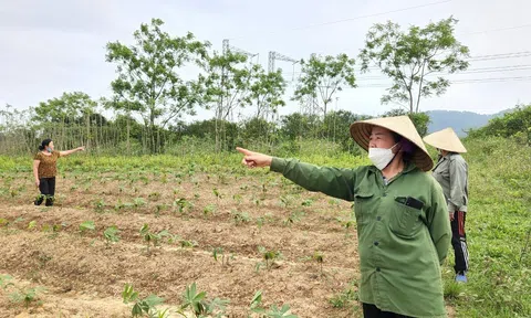 Hà Tĩnh: 4 hộ dân bỗng nhiên bị mất đất sản xuất
