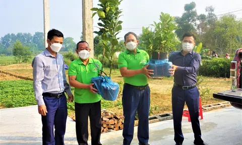 Hà Tĩnh: Cung ứng hơn 3.000 cây giống ăn quả cho hội viên nông dân huyện Hương Khê