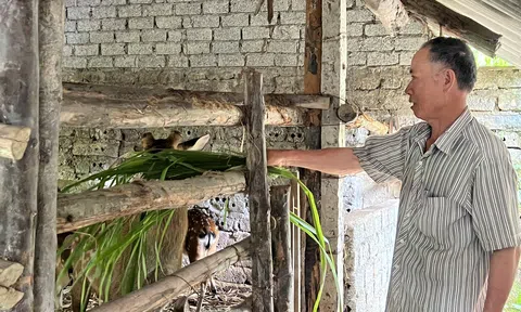 Chuyện làm giàu từ nghề nuôi hươu lấy lộc