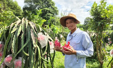 Hà Tĩnh: Chàng trai 9x lập nghiệp với kinh tế xanh từ trang trại tổng hợp