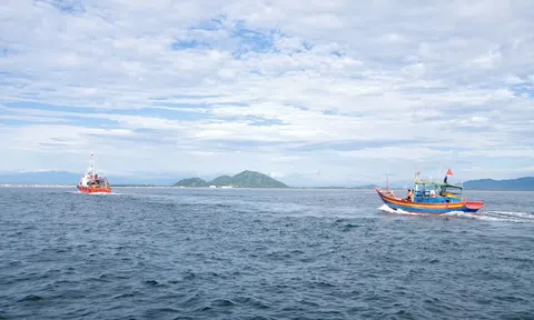 Hà Tĩnh: Cứu thành công 9 ngư dân trên 2 tàu cá gặp nạn trên biển
