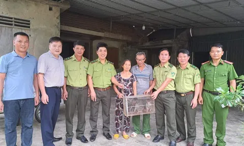 Hà Tĩnh: Người dân liên tiếp bàn giao động vật quý hiếm cho Vườn Quốc gia Vũ Quang