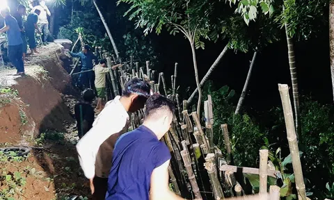 Hà Tĩnh: Hàng trăm người kịp thời gia cố bờ sông bị sạt lở