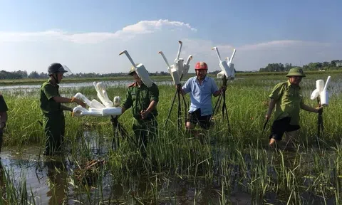 Hà Tĩnh: Quyết liệt xử lý tình trạng đánh bắt chim tự nhiên