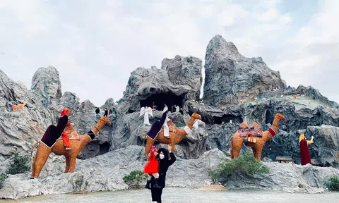 Hà Tĩnh: Lung linh sắc màu tại các nhà thờ chào đón Noel