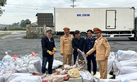 Hà Tĩnh: Phát hiện ô tô vận chuyển 3,2 tấn thực phẩm bốc mùi