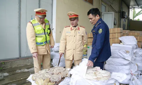 Hà Tĩnh: Xử phạt 17 triệu đồng với đối tượng chở 1 tấn nội tạng động vật bẩn trên đường đi tiêu thụ