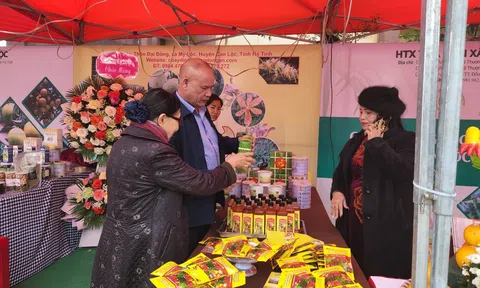 Hà Tĩnh: 100 gian hàng trưng bày và bán các sản phẩm nông sản tiêu biểu tham gia lễ hội Cam