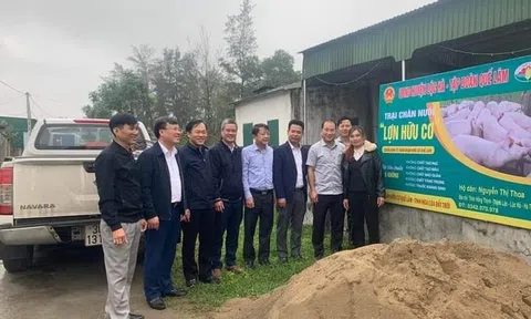Hà Tĩnh: Ra mắt mô hình nuôi lợn hữu cơ tại huyện Lộc Hà