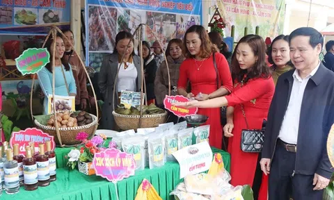 Hà Tĩnh: Hơn 300 sản phẩm trưng bày tại Ngày hội Phụ nữ khởi nghiệp năm 2023