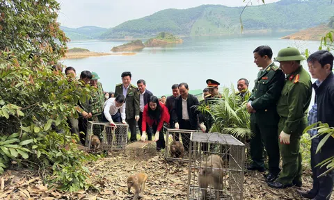 Hà Tĩnh:  43 cá thể động vật hoang dã được tái thả về môi trường tự nhiên