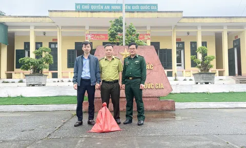 Hà Tĩnh: Vườn Quốc gia Vũ Quang tiếp nhận trăn đất quý hiếm để chăm sóc, thả về tự nhiên