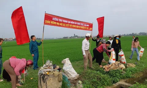Hà Tĩnh: Vỏ thuốc bảo vệ thực vật tràn lan ngoài đồng gây ô nhiễm môi trường